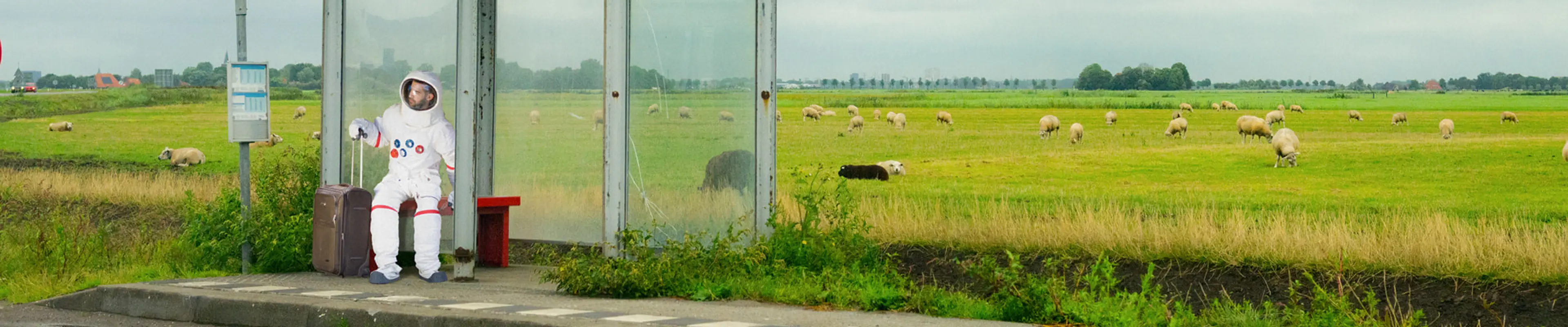 Ongewone beroepen